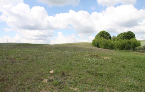 parcel for sale - Sicienko, Trzemiętowo
