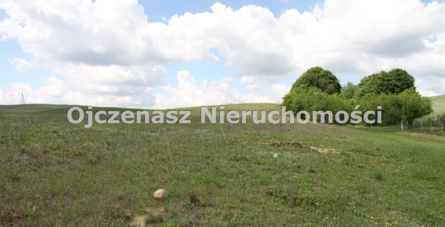 działka na sprzedaż, 3 000 m<sup>2</sup> - Sicienko, Trzemiętowo