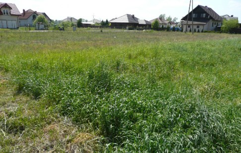 parcel for sale - Nowa Wieś Wielka, Kobylarnia