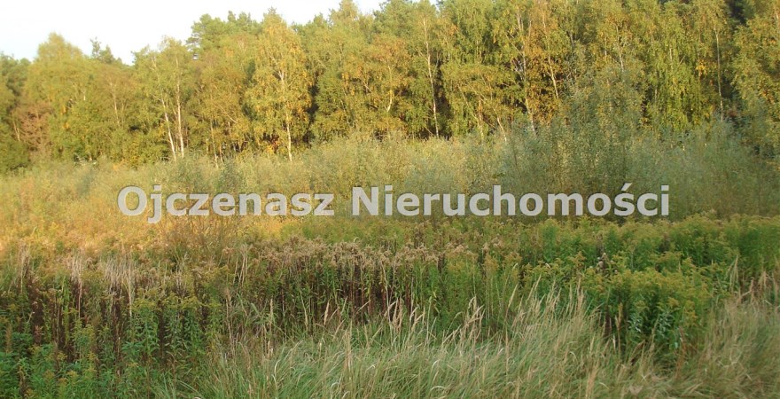 działka na sprzedaż, 3 000 m<sup>2</sup> - Lubiewo, Teolog