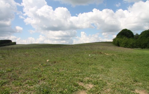 działka na sprzedaż - Łabiszyn (gw), Nowe Dąbie