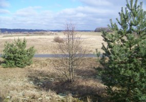 działka na sprzedaż - Dąbrowa Chełmińska, Czarże