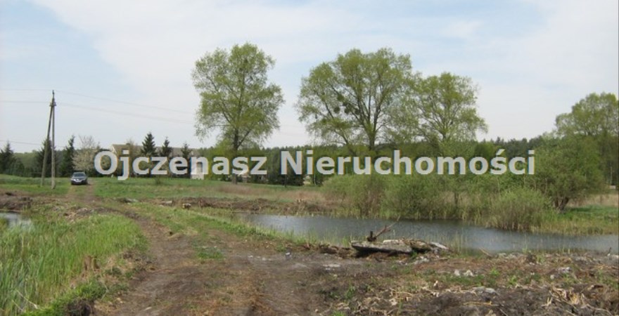działka na sprzedaż, 36 000 m<sup>2</sup> - Dąbrowa Chełmińska, Boluminek