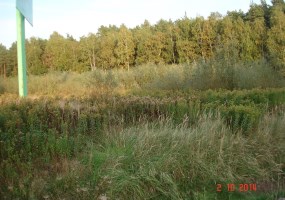 działka na sprzedaż - Białe Błota