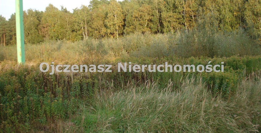 działka na sprzedaż, 11 752 m<sup>2</sup> - Białe Błota