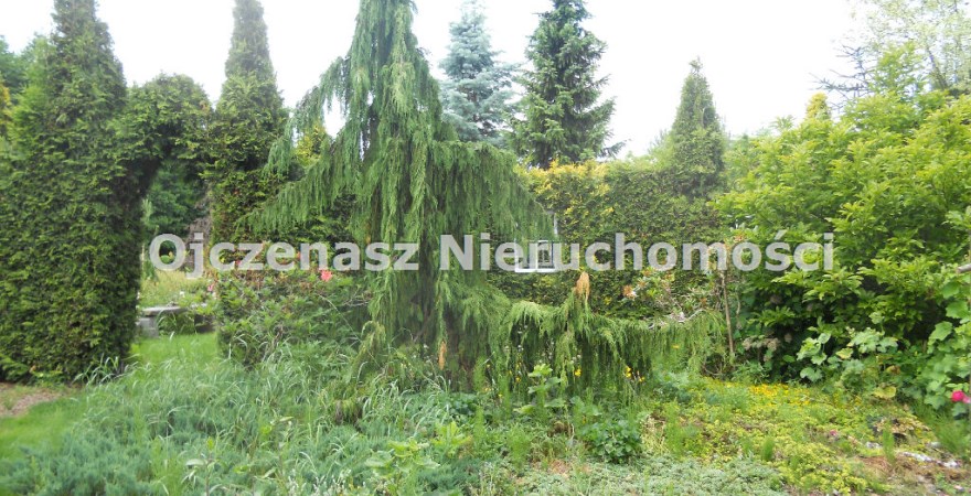 działka na sprzedaż, 21 805 m<sup>2</sup> - Sicienko, Wierzchucinek