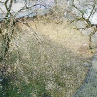 Obiekt na sprzedaż