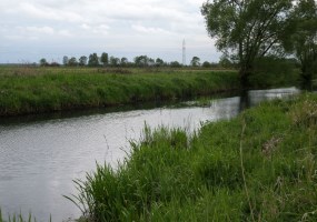 parcel for sale - Białe Błota, Przyłęki