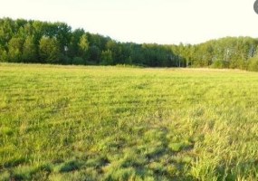 działka na sprzedaż - Zławieś Wielka, Czarnowo