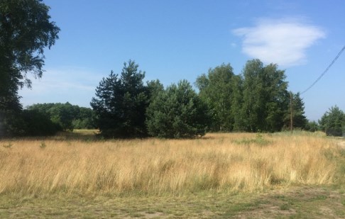 działka na sprzedaż - Solec Kujawski