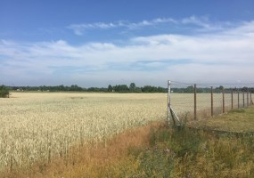 działka na sprzedaż - Solec Kujawski