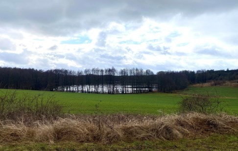 działka na sprzedaż - Lubiewo, Minikowo