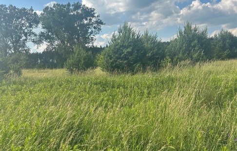 parcel for sale - Zławieś Wielka, Zławieś Mała