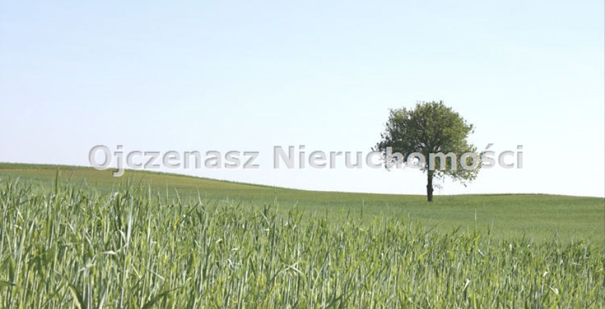 obiekt na sprzedaż, 3 511 m<sup>2</sup> - Lubiewo, Minikowo