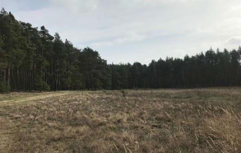 działka na sprzedaż - Dąbrowa Chełmińska, Czarże