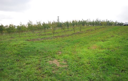 działka na sprzedaż - Koronowo (gw), Tryszczyn