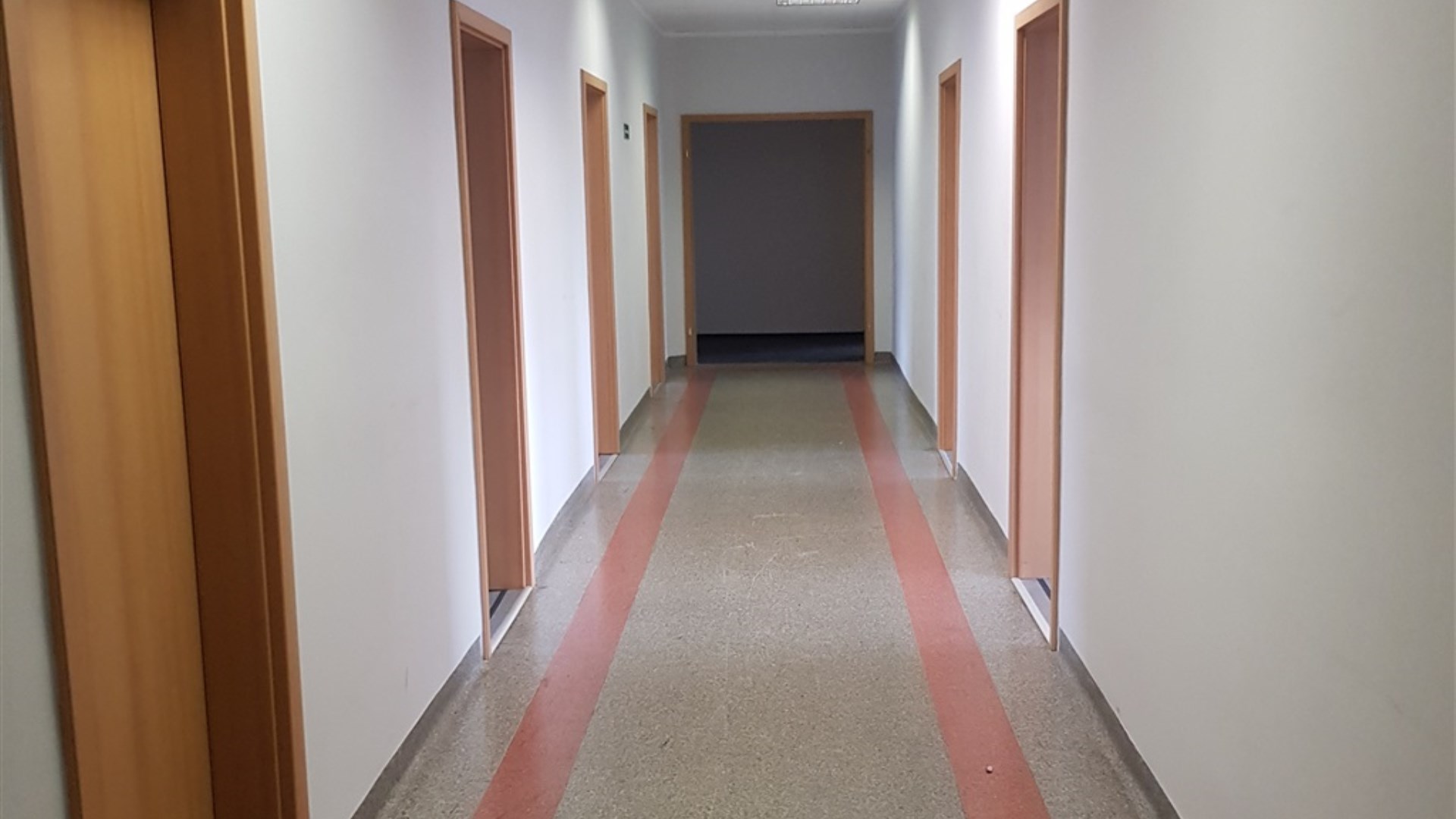 Lokal na wynajem