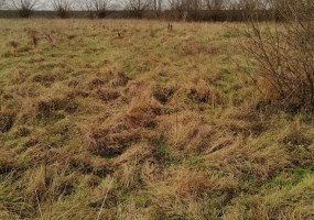 parcel for sale - Nowa Wieś Wielka, Olimpin