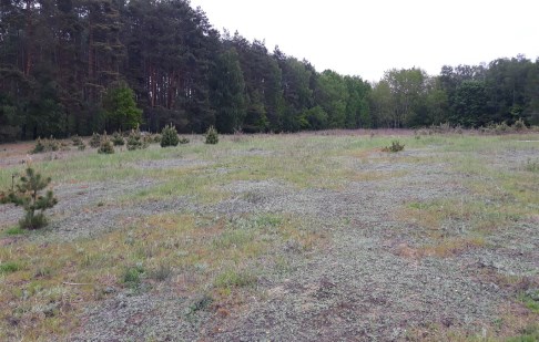 działka na sprzedaż - Dąbrowa Chełmińska, Otowice