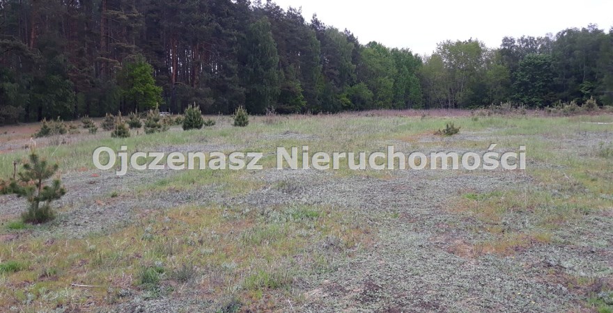 działka na sprzedaż, 2 000 m<sup>2</sup> - Dąbrowa Chełmińska, Otowice
