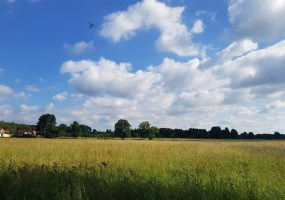 działka na sprzedaż - Nowa Wieś Wielka, Kobylarnia