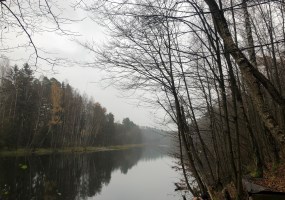 działka na sprzedaż - Gostycyn, Piła