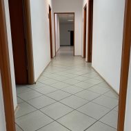 Lokal na wynajem