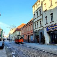 Lokal na wynajem