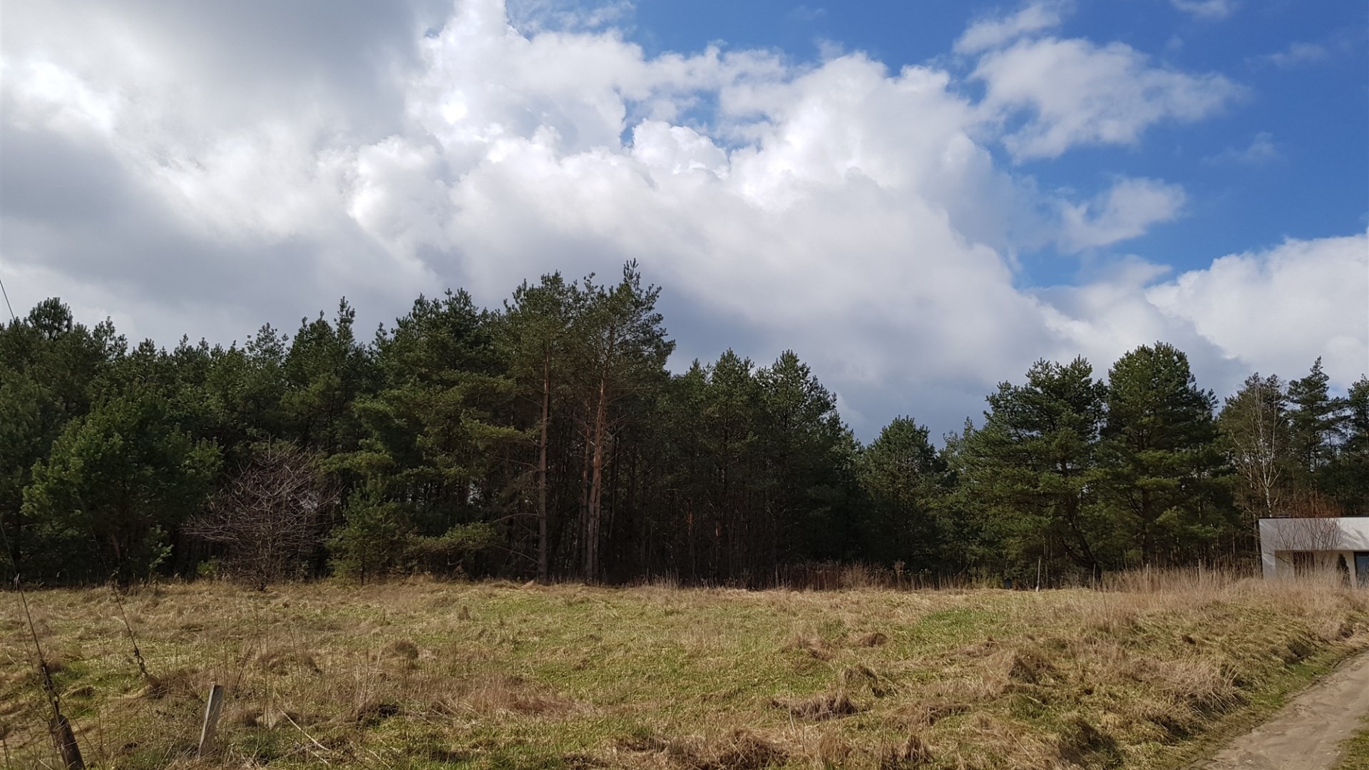 Działka na sprzedaż