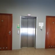Lokal na wynajem
