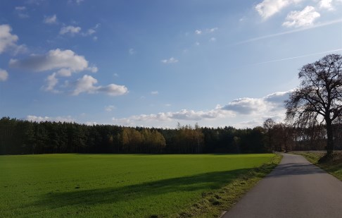 działka na sprzedaż - Dąbrowa Chełmińska, Gzin Górny