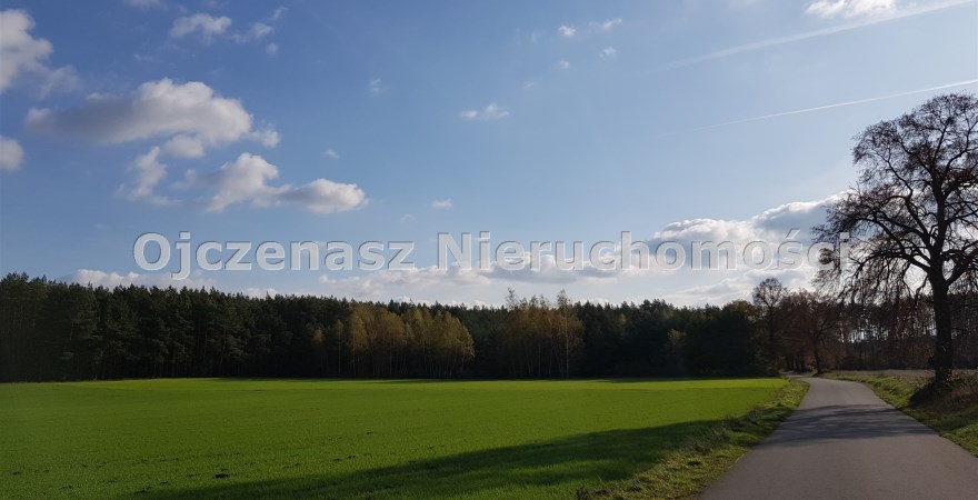 działka na sprzedaż, 10 779 m<sup>2</sup> - Dąbrowa Chełmińska, Gzin Górny