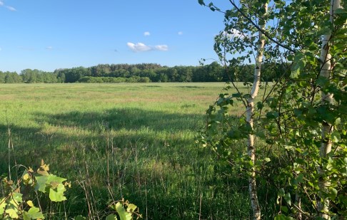 działka na sprzedaż - Osielsko, Żołędowo