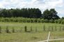 parcel for sale, 3 000 m<sup>2</sup> - Osielsko, Żołędowo zdjecie1