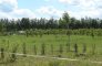 parcel for sale, 3 000 m<sup>2</sup> - Osielsko, Żołędowo zdjecie2