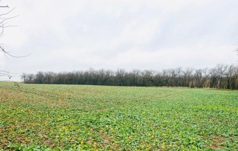parcel for sale - Sicienko, Sitno