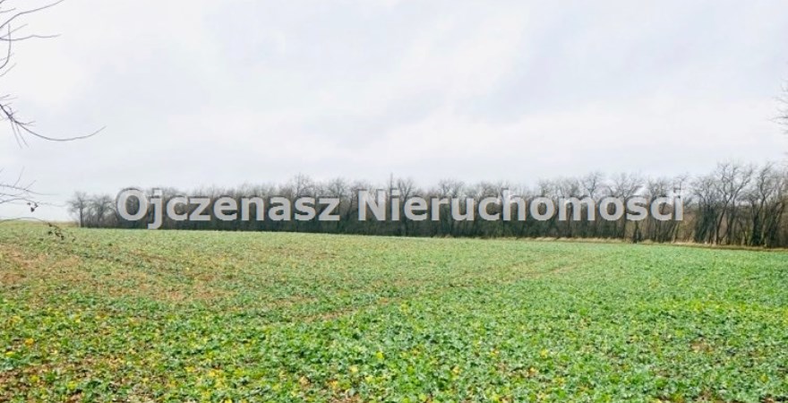 działka na sprzedaż, 8 300 m<sup>2</sup> - Sicienko, Sitno