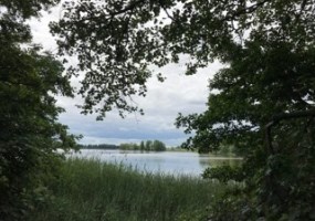 działka na sprzedaż - Jeżewo, Lipienki
