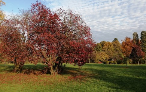 działka na sprzedaż - Bydgoszcz, Flisy