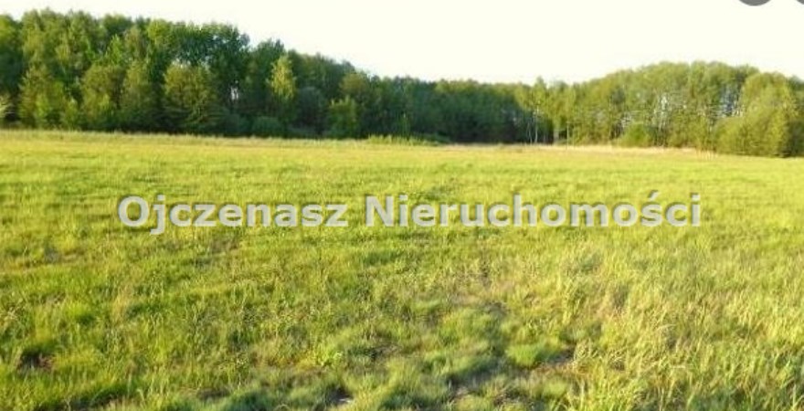 działka na sprzedaż, 3 130 m<sup>2</sup> - Zławieś Wielka, Czarnowo