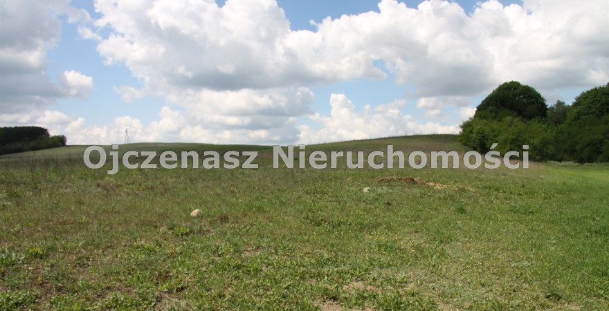 działka na sprzedaż, 7 803 m<sup>2</sup> - Białe Błota, Kruszyn Krajeński