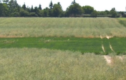 parcel for sale - Koronowo (gw), Gościeradz