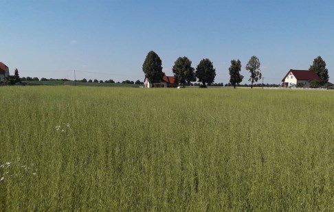 działka na sprzedaż - Żnin (gw), Jadowniki Rycerskie