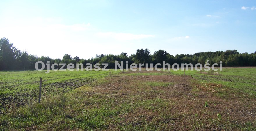 parcel for sale, 50 000 m<sup>2</sup> - Nowa Wieś Wielka, Dziemionna