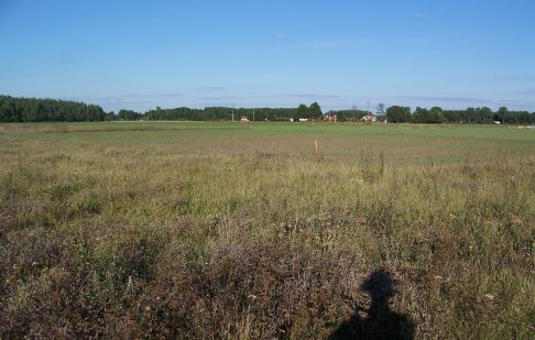 działka na sprzedaż - Osielsko, Maksymilianowo