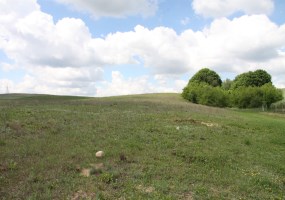 działka na sprzedaż - Nowa Wieś Wielka, Nowa Wioska