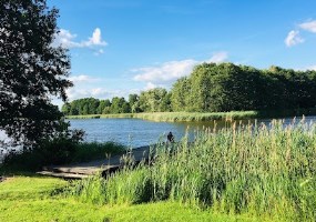 działka na sprzedaż - Bukowiec, Branica