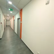 Lokal na wynajem