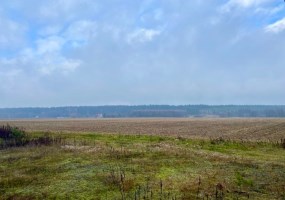 działka na sprzedaż - Zławieś Wielka, Czarnowo