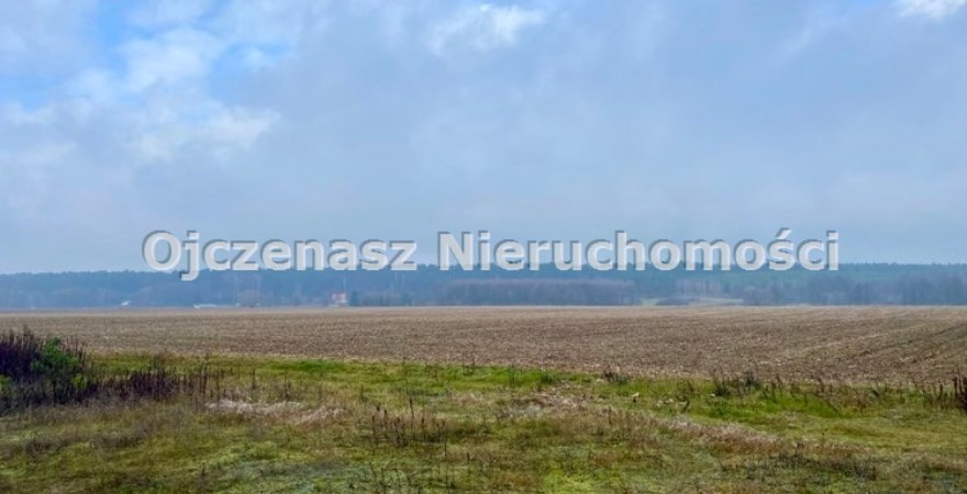 działka na sprzedaż, 21 317 m<sup>2</sup> - Zławieś Wielka, Czarnowo